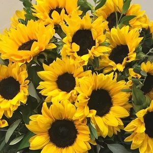 Meet your Posher, Leslie